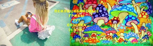 spice Белоозёрский